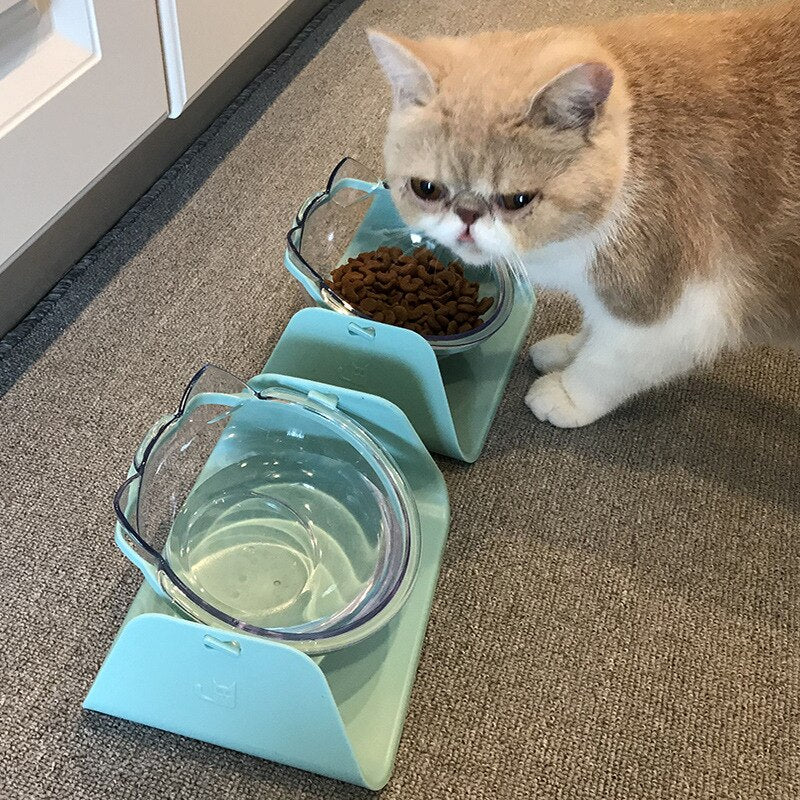 cat feeding bowls on stand