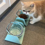 cat feeding bowls on stand