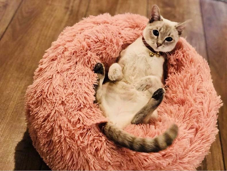 Marshmallow Cat Bed [NEW Arrival!] - The Cat Paradise