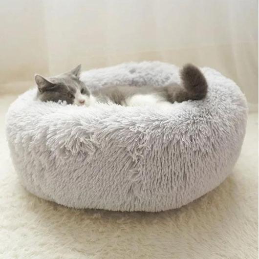 calming cat bed light