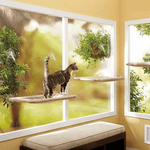 Cat Window Bed <br/> Cute Pet Hanging - The Cat Paradise