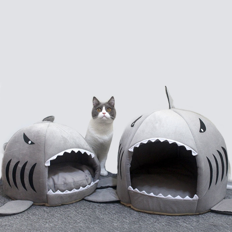 shark cat bed