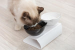 elevated feeding bowls for cats