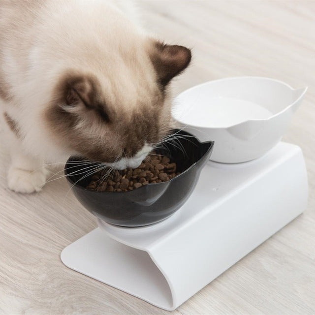 best elevated cat bowls