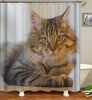 Maine Coon Cat Shower Curtain