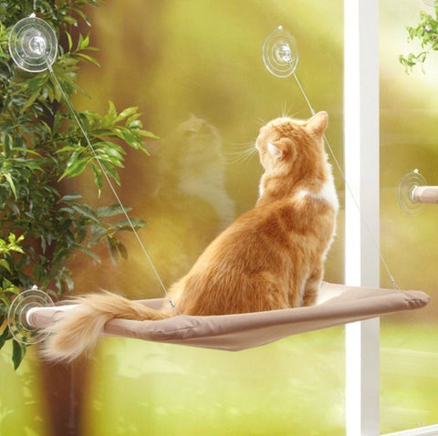 Cat Window Bed <br/> Cute Pet Hanging - The Cat Paradise